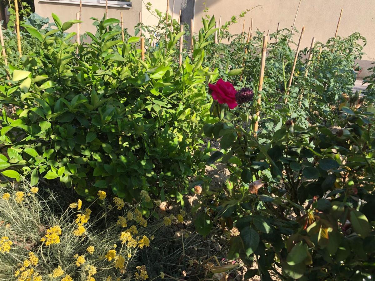 Garden Apartman 斯普利特 外观 照片