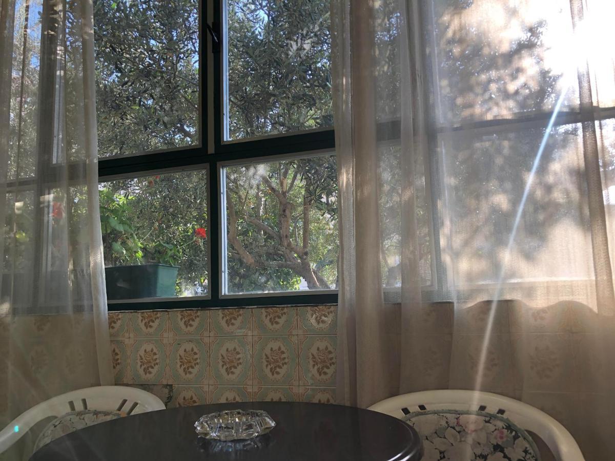 Garden Apartman 斯普利特 外观 照片